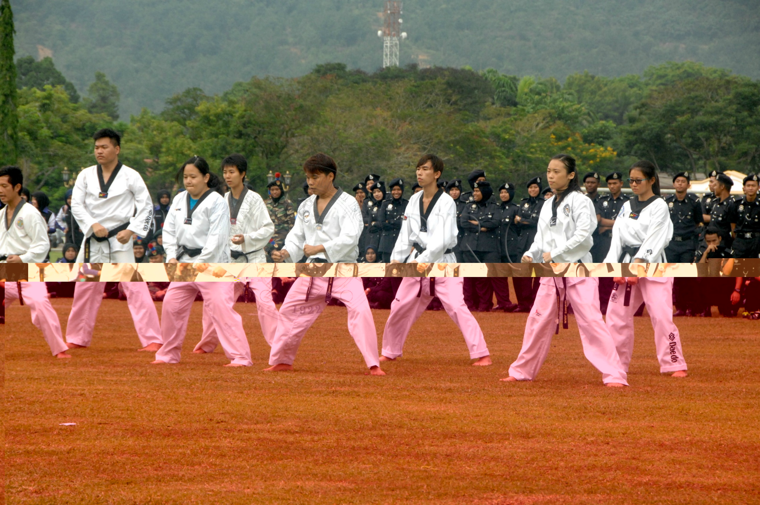 PRO 14 43 KKO IDA 0989